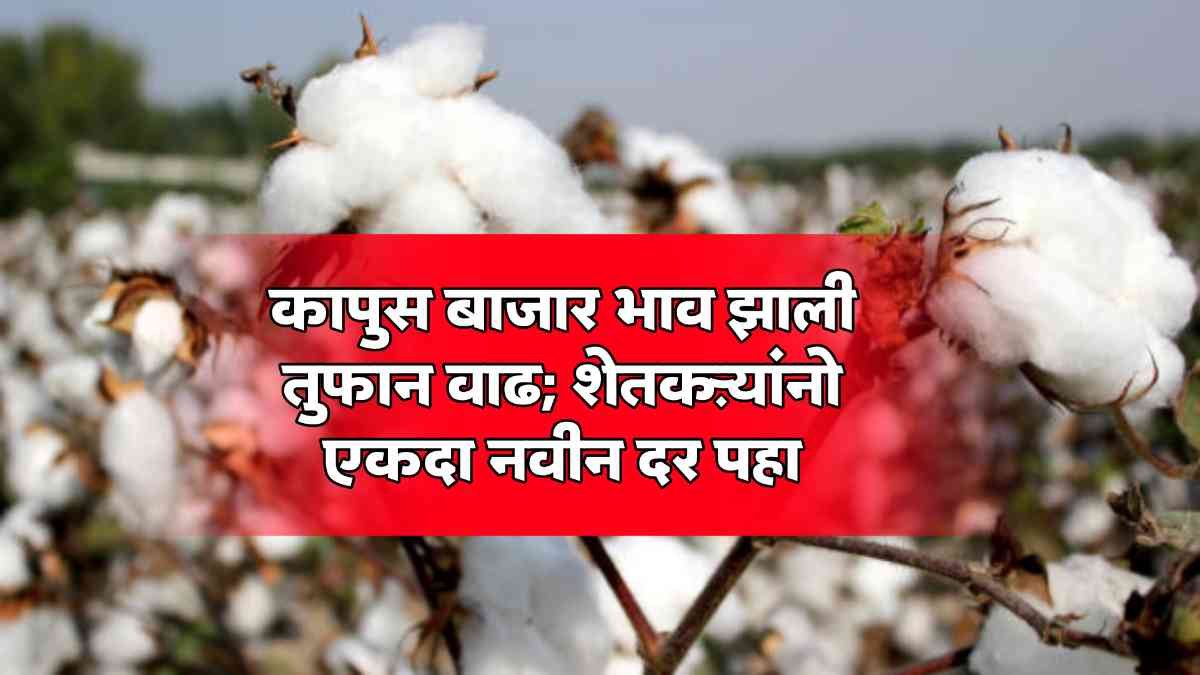 Cotton Prices