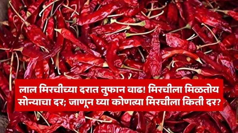 Red Chilli Price
