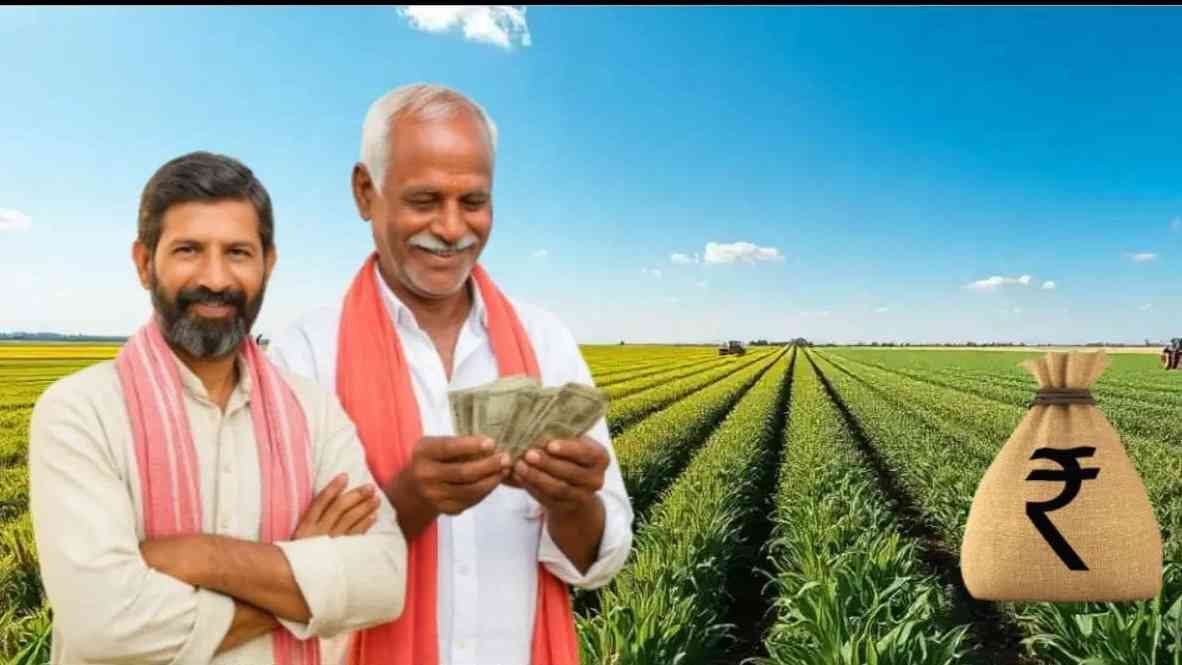 Farmer loan